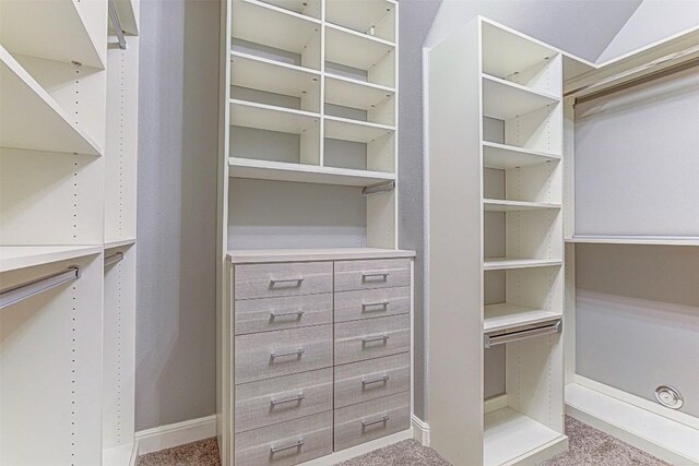 spacious closet featuring light carpet