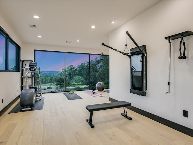 workout room with light wood-type flooring and plenty of natural light