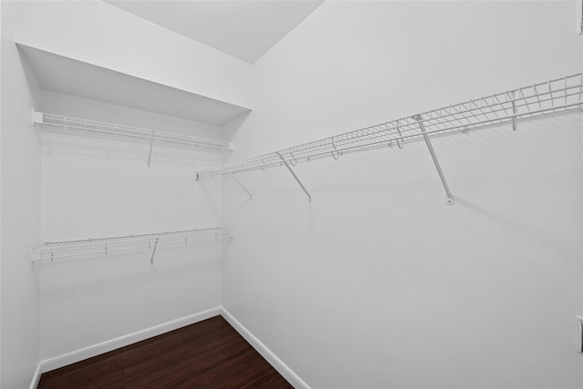 walk in closet with hardwood / wood-style floors