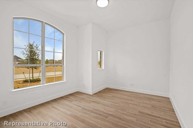 empty room featuring a wealth of natural light and light hardwood / wood-style flooring