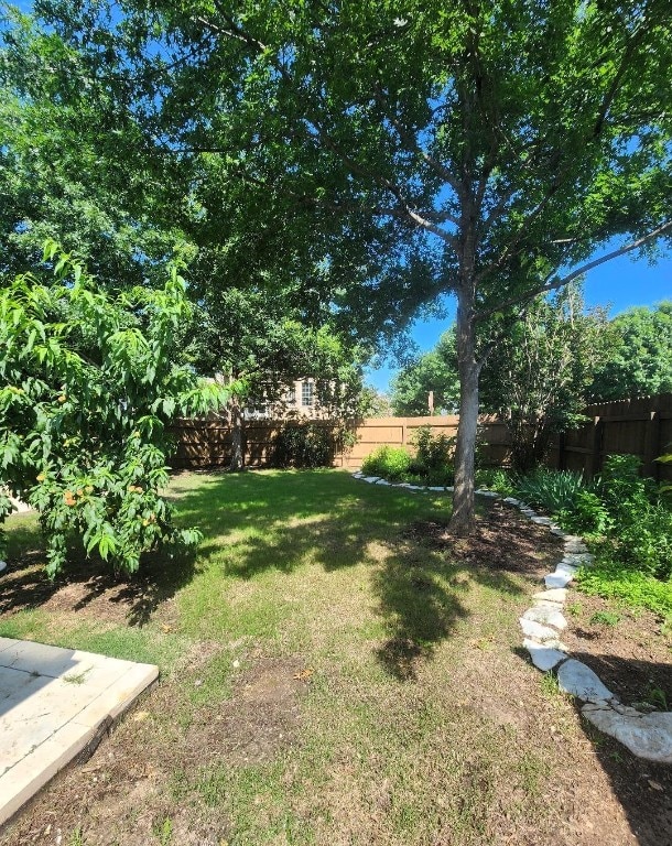 view of yard featuring a fenced backyard