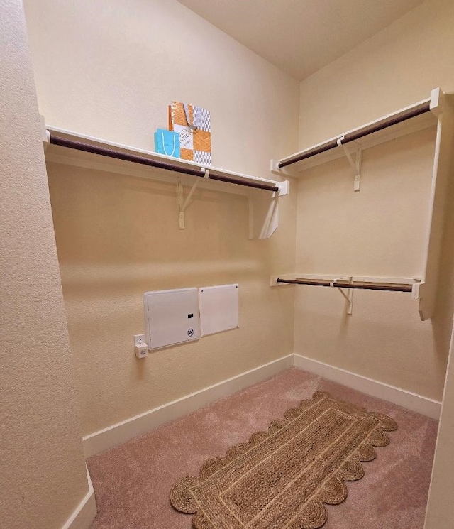 walk in closet featuring carpet floors