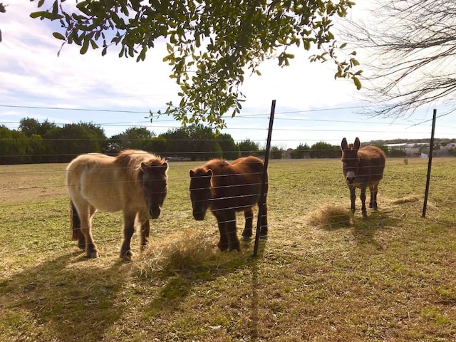 view of horse barn with a rural view