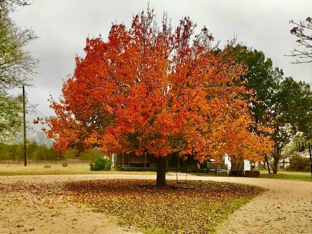 view of community