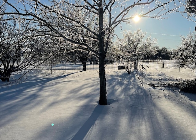 view of yard layered in snow