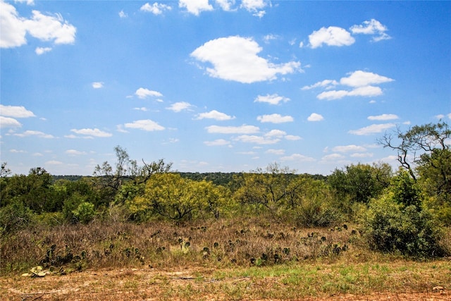 Listing photo 3 for TBD Pr 125 Prairie, San Saba TX 76877