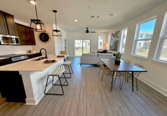 2026 Cora Ivy Ln, Round Rock, TX 78665 - kitchen with stainless steel microwave, a sink, visible vents, and light wood-style floors