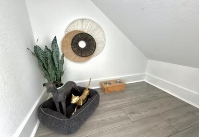 2026 Cora Ivy Ln, Round Rock, TX 78665 - interior space with vaulted ceiling, wood finished floors, and baseboards