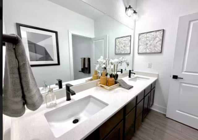 2026 Cora Ivy Ln, Round Rock, TX 78665 - full bathroom featuring baseboards, wood finished floors, a sink, and double vanity