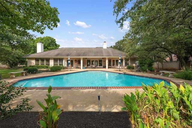 view of pool featuring a patio and a diving board