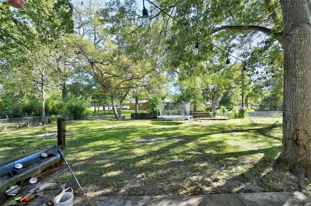 view of yard featuring a trampoline