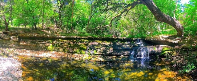 view of local wilderness