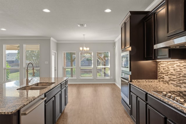 kitchen with light hardwood / wood-style flooring, sink, a wealth of natural light, and stainless steel appliances