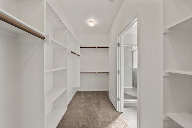 spacious closet with carpet