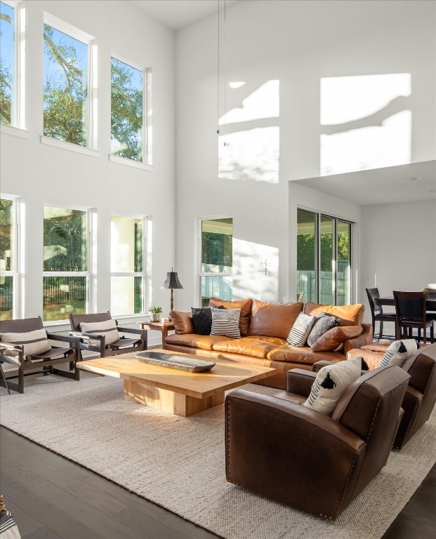 living room featuring hardwood / wood-style floors, a towering ceiling, and plenty of natural light