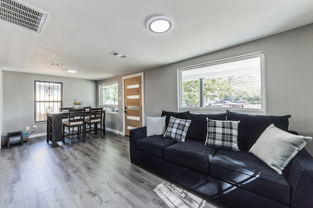 living room with hardwood / wood-style flooring