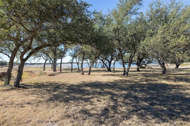 Listing photo 3 for TBD Emeralds Dr, Burnet TX 78611