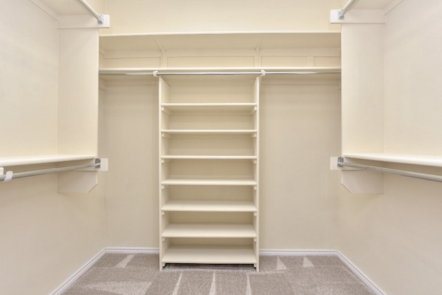 spacious closet featuring light carpet