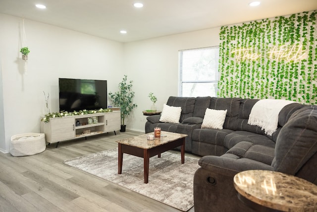 living room with wood-type flooring