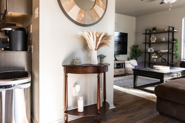 living room featuring ceiling fan and dark hardwood / wood-style floors