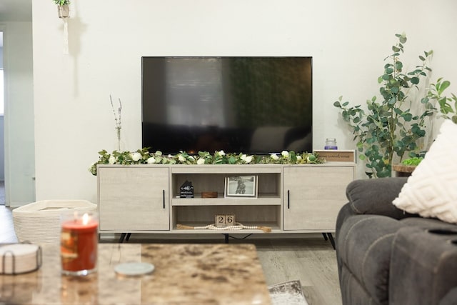 living room with wood-type flooring