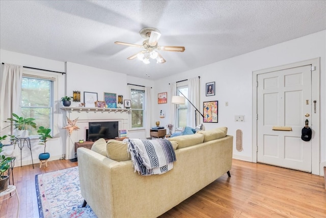 living room featuring ceiling fan, a textured ceiling, and light wood-type flooring