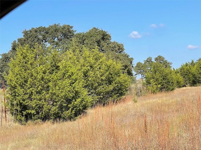 1365 Rutherford Dr, Driftwood, TX 78619