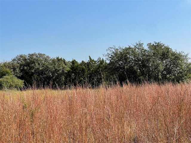 1365 Rutherford Dr, Driftwood, TX 78619