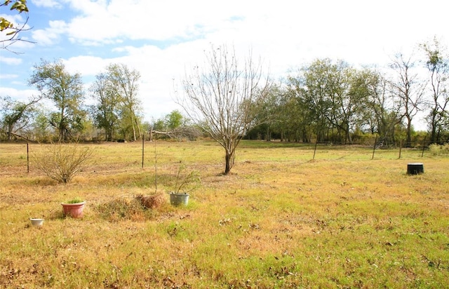 181 N Main St, Paige, TX 78659 - view of yard