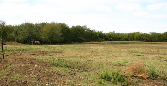 181 N Main St, Paige, TX 78659 - view of tree filled area with a view of rural / pastoral area