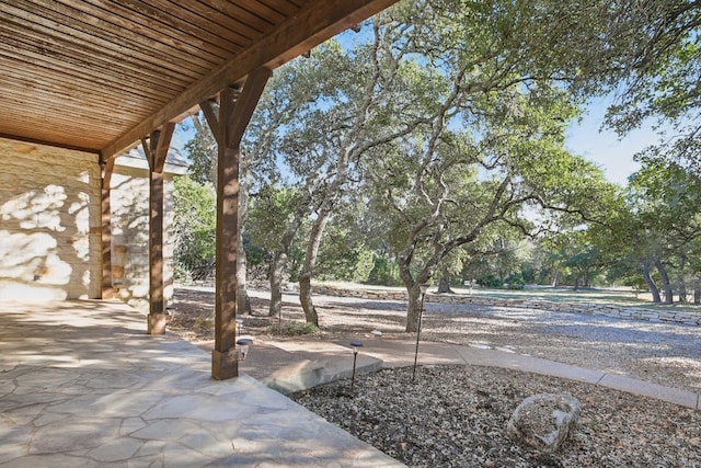 view of yard featuring a patio