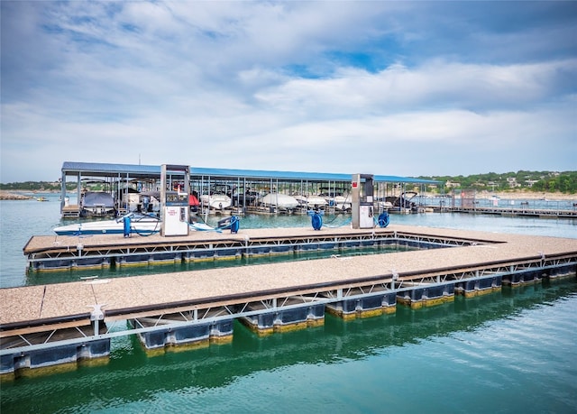 dock area with a water view