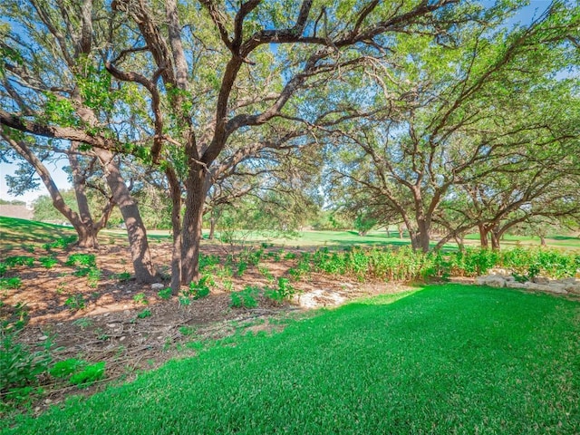 18802 Nicklaus Dr, Lago Vista, TX 78645 - view of grassy yard