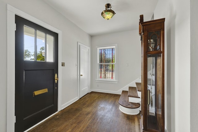 foyer entrance featuring dark hardwood / wood-style flooring and a wealth of natural light