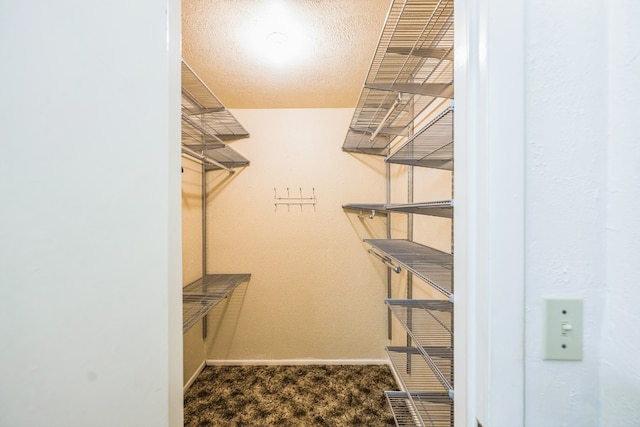 walk in closet with carpet flooring