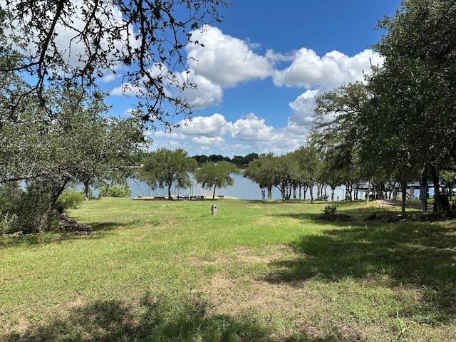 view of yard with a water view