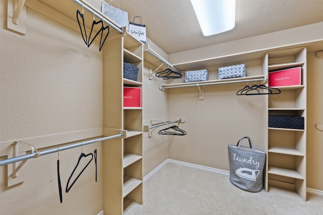 walk in closet with carpet flooring