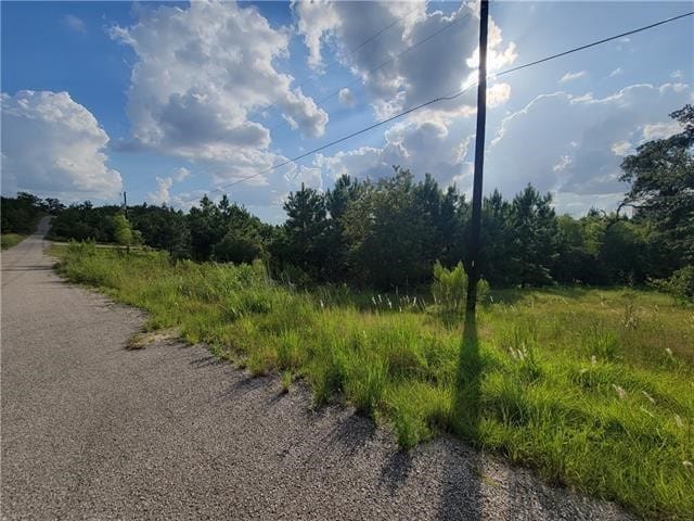 Listing photo 2 for 0000 Timber Ln, Bastrop TX 78602