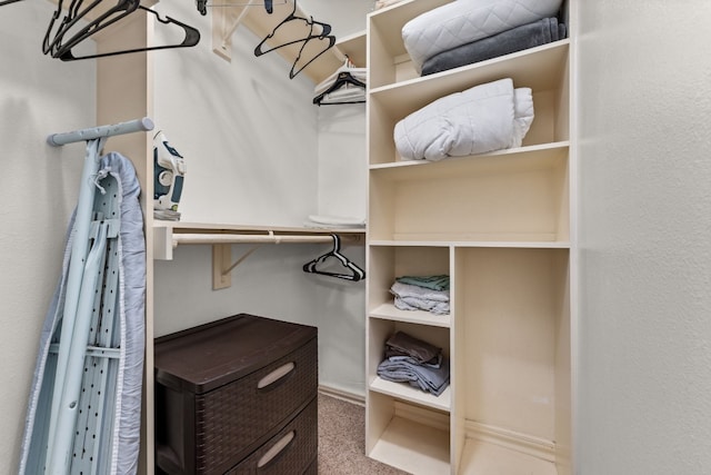 walk in closet featuring carpet flooring