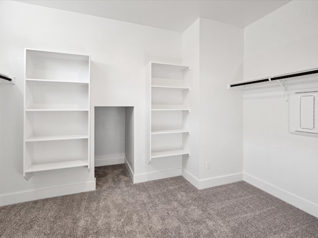 walk in closet with light carpet