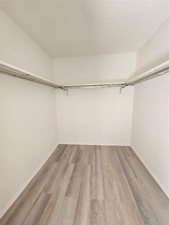 spacious closet with light wood finished floors