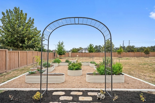 301 Miranda Way, Georgetown, TX 78633 - fenced backyard with a garden