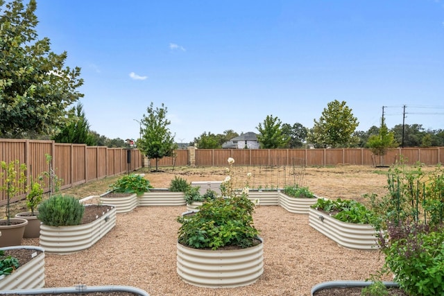 301 Miranda Way, Georgetown, TX 78633 - fenced backyard featuring a vegetable garden