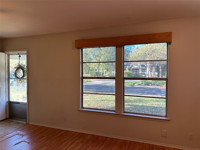 spare room with a wealth of natural light and hardwood / wood-style flooring