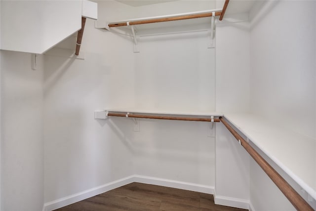 walk in closet with dark hardwood / wood-style flooring