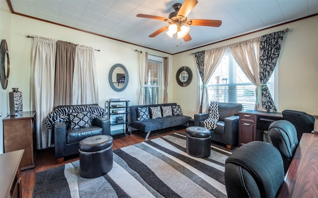 living room with ceiling fan, dark hardwood / wood-style flooring, and ornamental molding