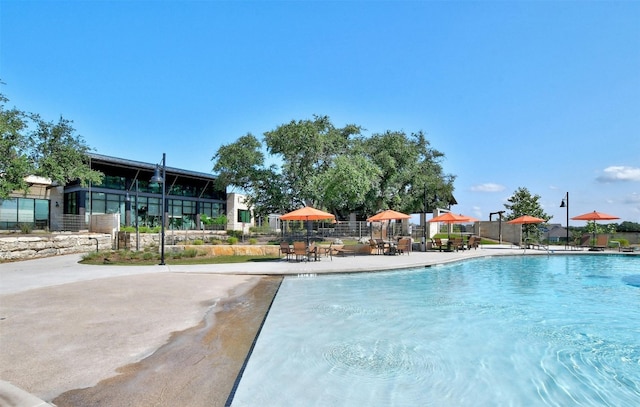 view of pool featuring a patio area