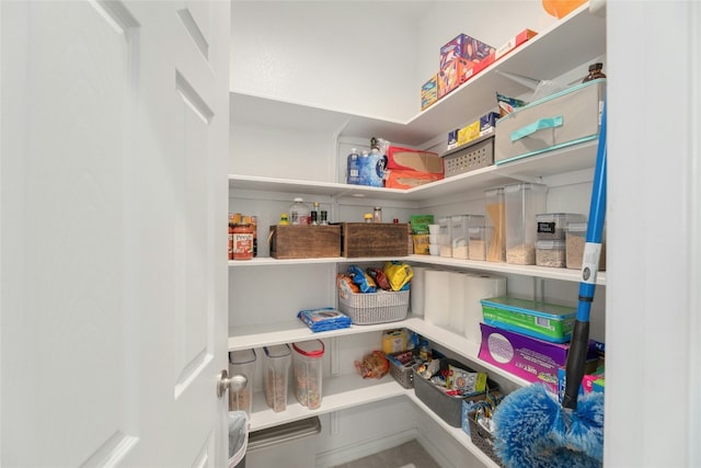 3925 Lyndsey Marie Ln, Pflugerville, TX 78660 - view of pantry