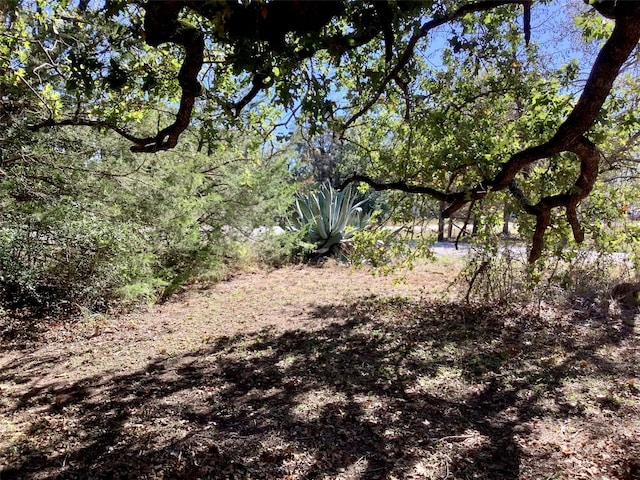 Listing photo 2 for LOT87 Wigwam St, Smithville TX 78957