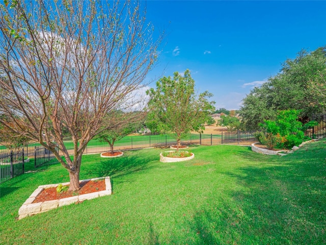 view of yard featuring a rural view